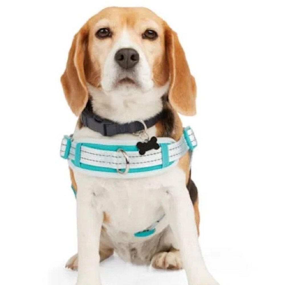 EveryYay Embrace the Pace Training Dog Harness Blue